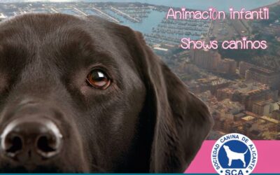 Cartel Concurso Real Sociedad Canina de Alicante