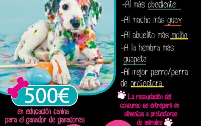 Cartel concurso canino Mascotetes