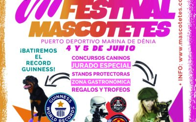 VII FESTIVAL MASCOTETES