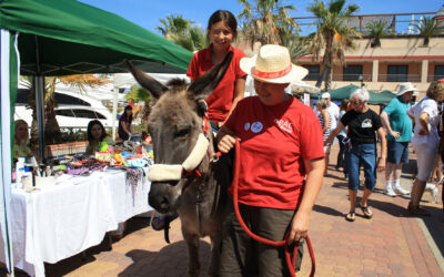 VII FESTIVAL MASCOTETES