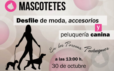 Desfile en Pedreguer de moda, accesorios y peluqueria canina.