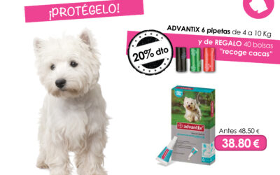 Protege a tu perro contar pulgas, garrapatas y leshmania con advantix pipetas.