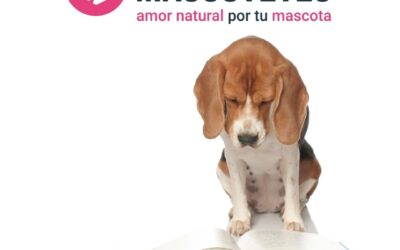 AMORES VARIADOS