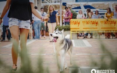 FOTOS FESTIVAL MASCOTETES (parte II)