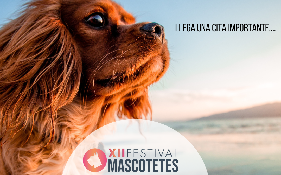 ¡Bienvenidos al XII Festival Mascotetes en Denia para tu perro o gato.