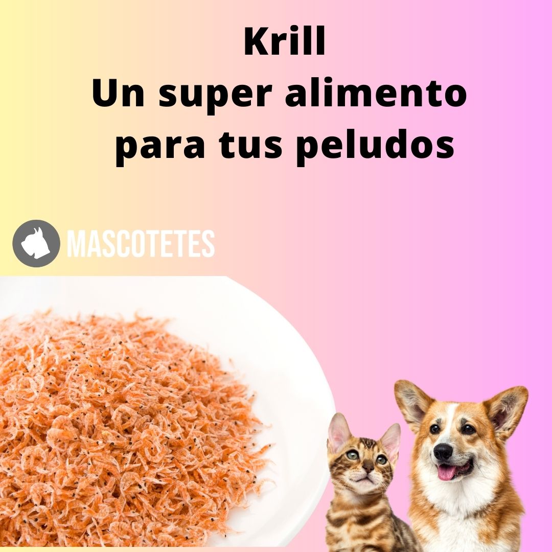 Beneficios del krill en tus perros y gatos