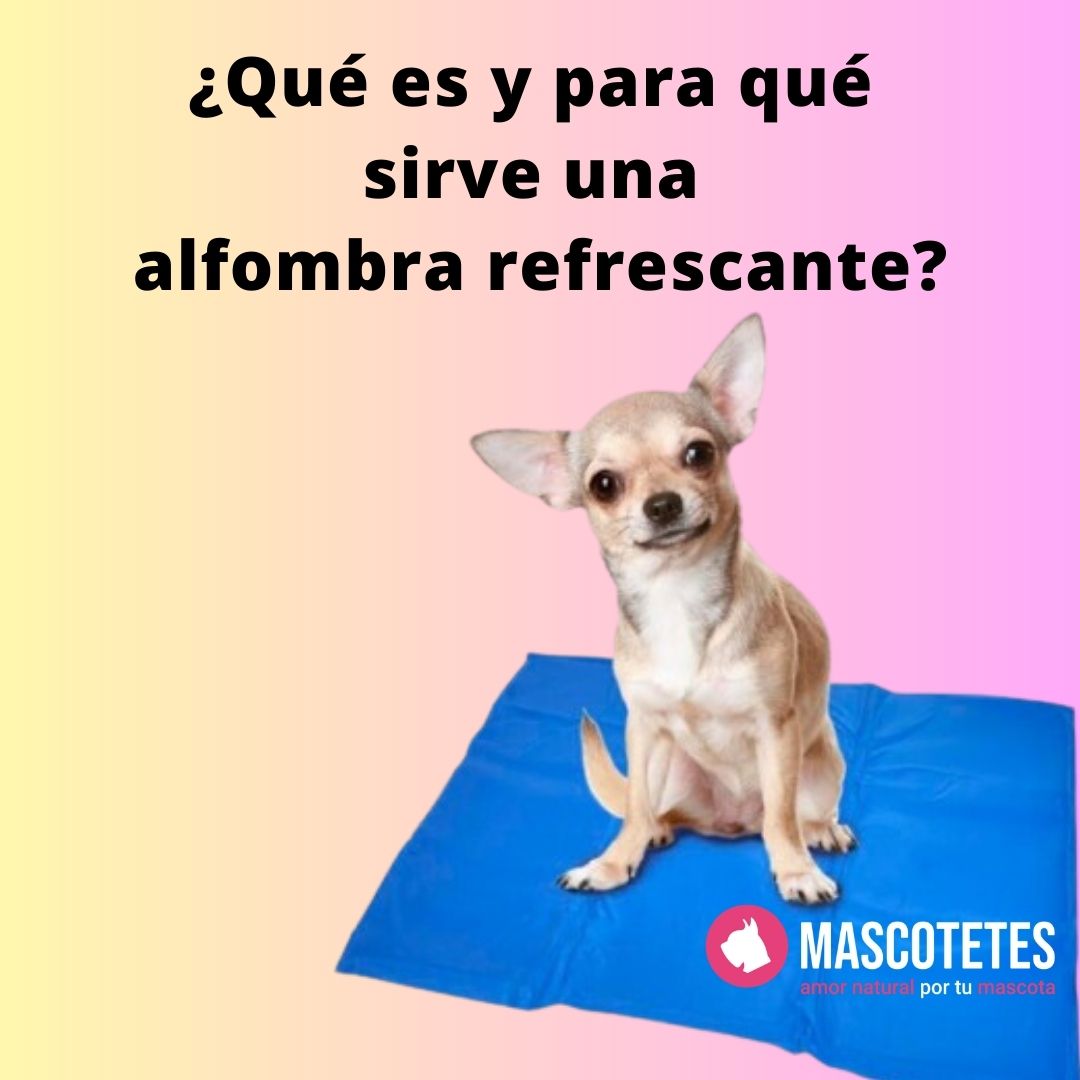 alfombras refrescantes para perros mascotetes